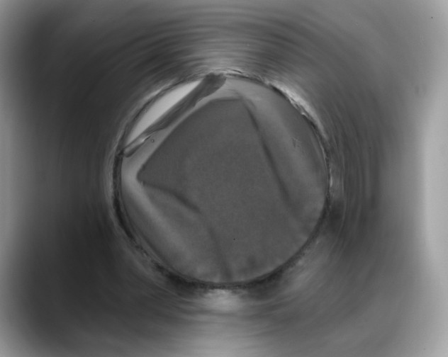 X0000088140390200706111429