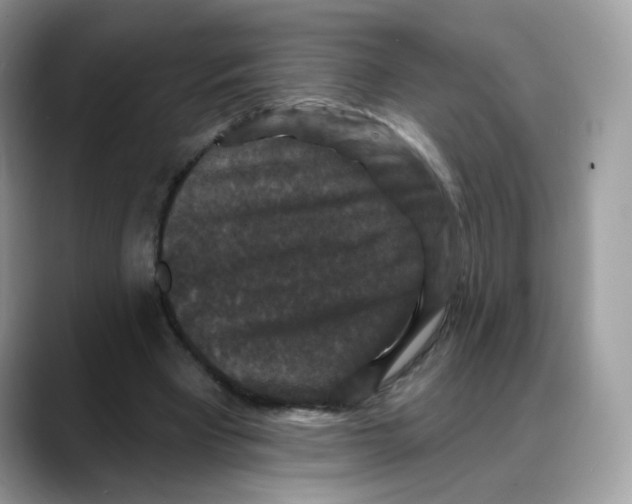 X0000088140393200706111429