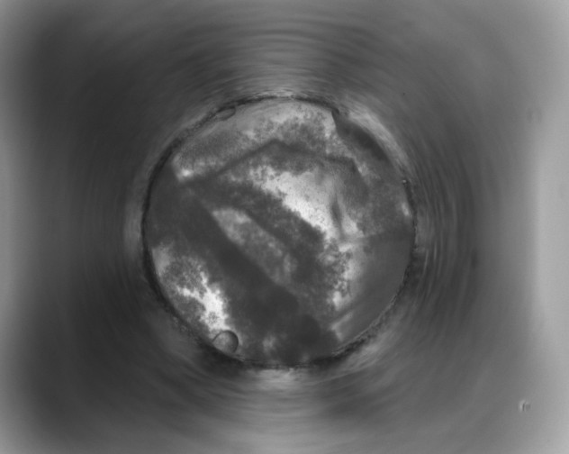 X0000088140394200706111429