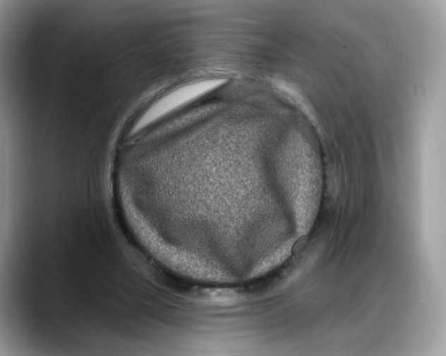 X0000088140395200706111429