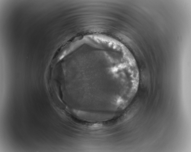 X0000088140398200706111429