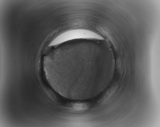 X0000088140400200706111429