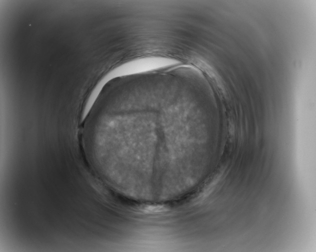 X0000088140401200706111429