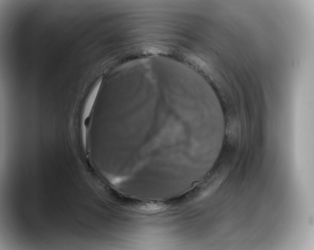 X0000088140402200706111429