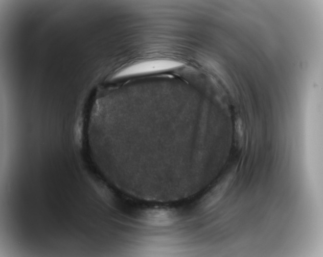 X0000088140404200706111429