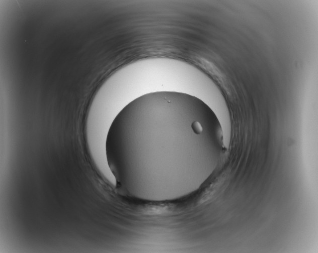 X0000088140405200706111429