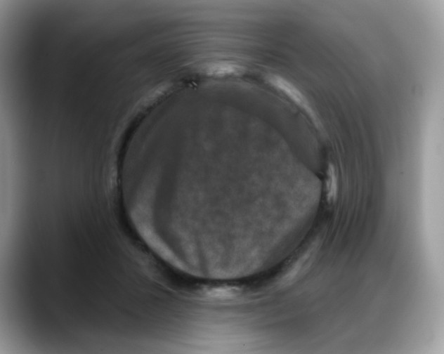 X0000088140407200706111429