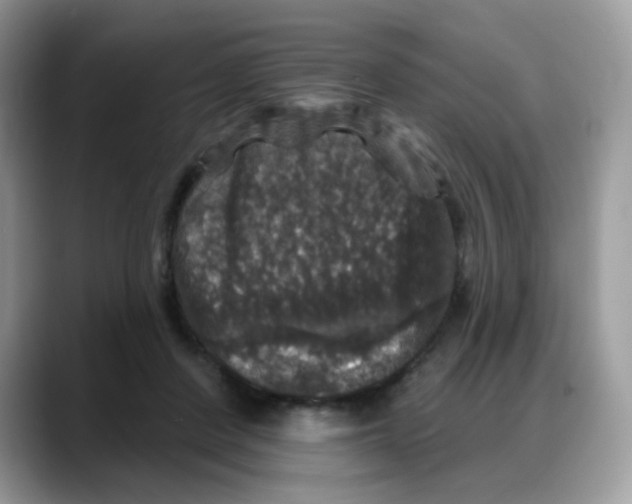 X0000088140408200706111429