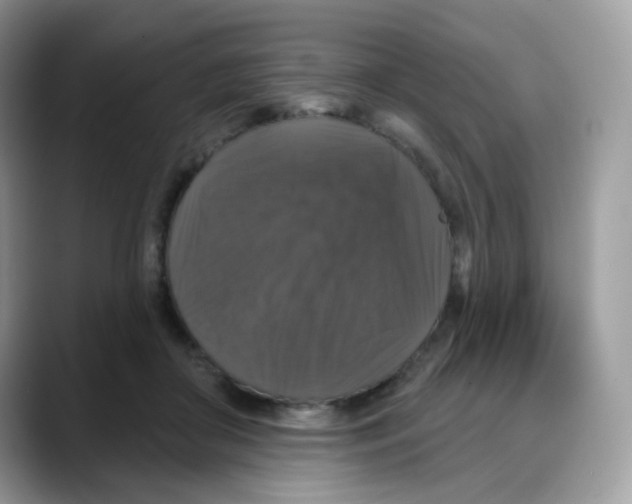 X0000088140410200706111429