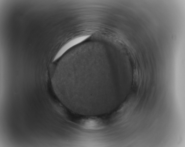 X0000088140412200706111429