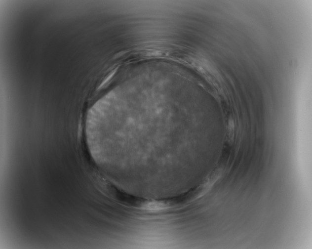 X0000088140413200706111429