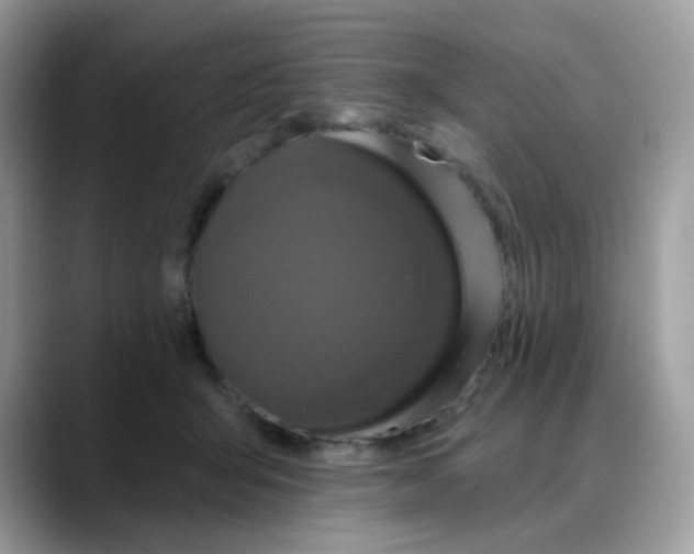 X0000088140415200706111429