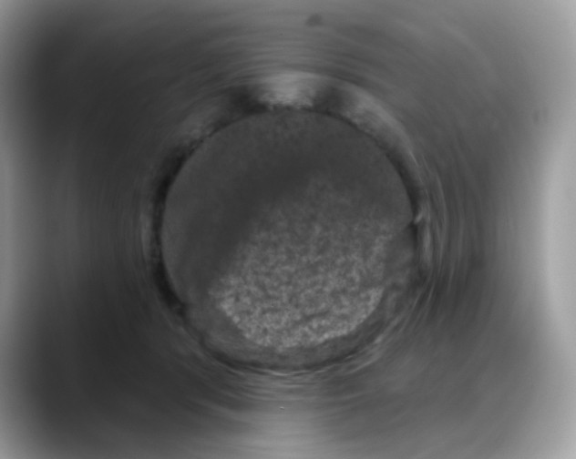 X0000088140416200706111429