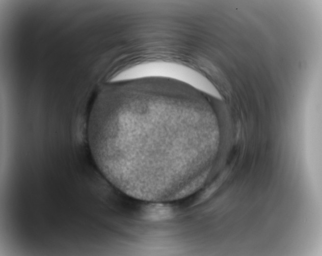 X0000088140421200706111429