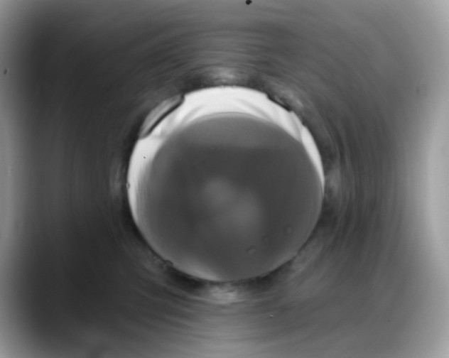 X0000088140423200706111429