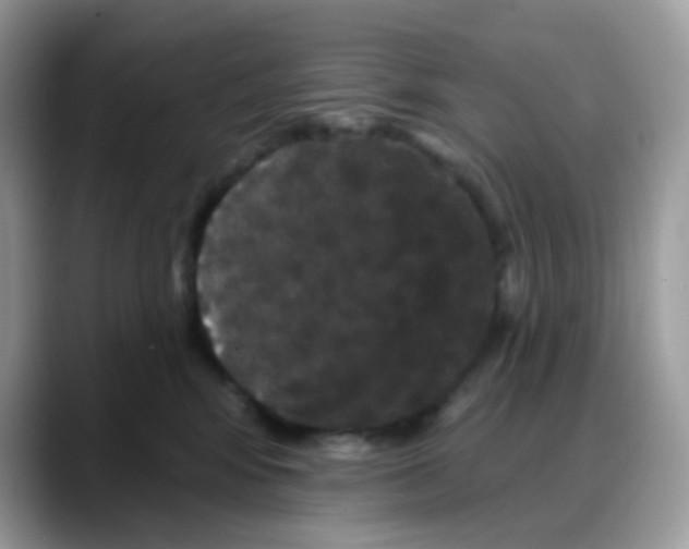 X0000088140424200706111429