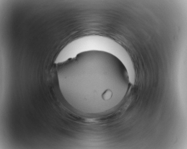 X0000088140425200706111429