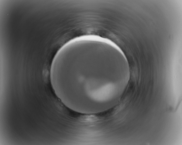 X0000088140427200706111429