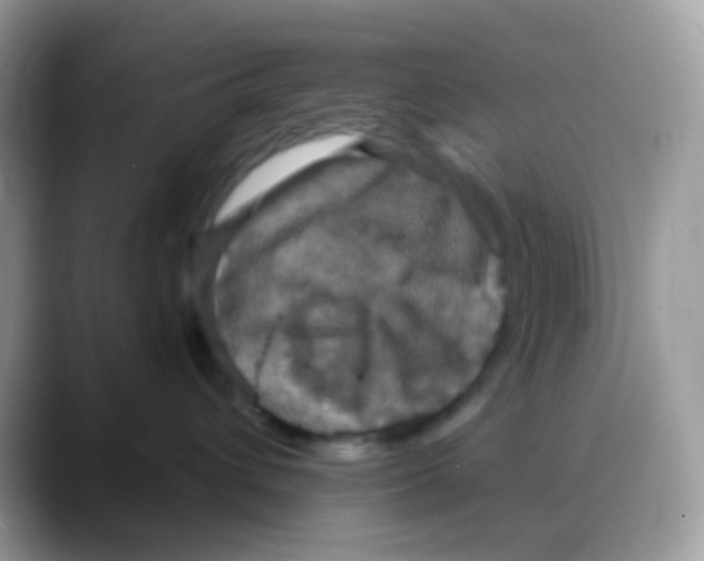 X0000088140432200706111429