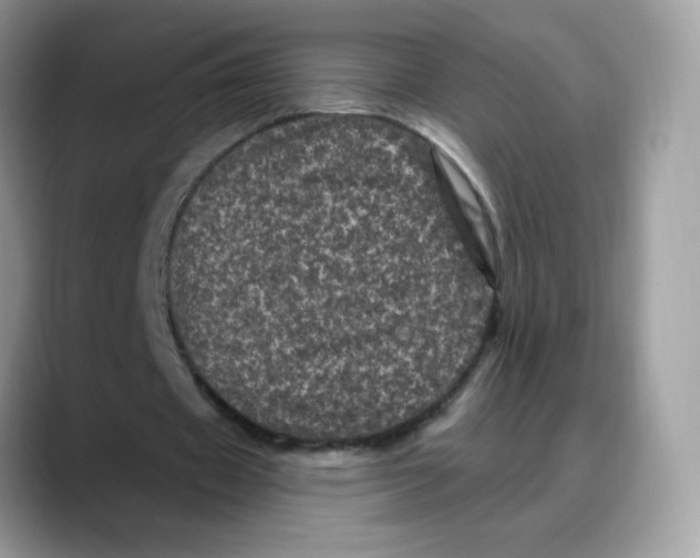 X0000088140433200706111428