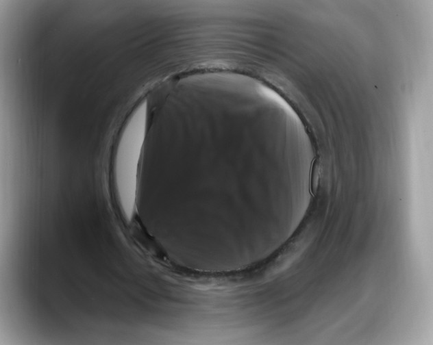 X0000088140434200706111428