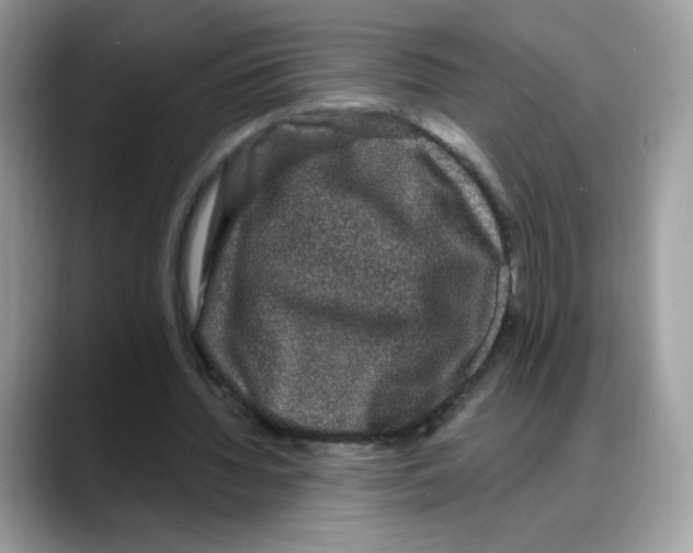 X0000088140436200706111428