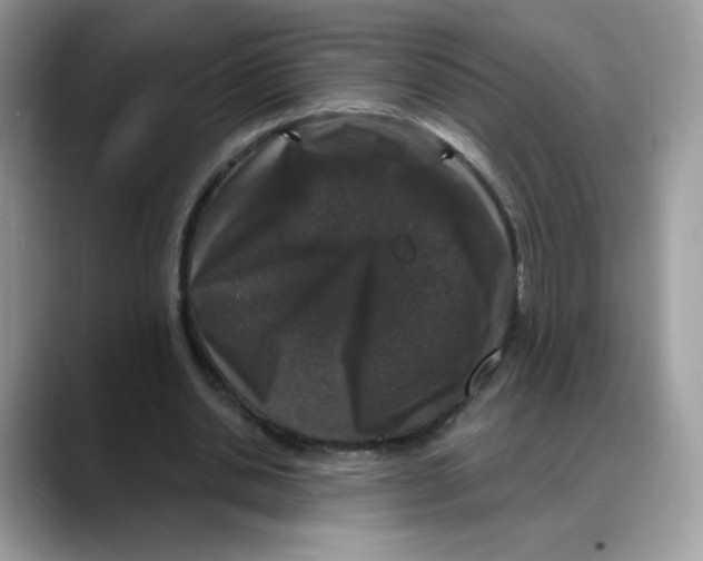 X0000088140438200706111428