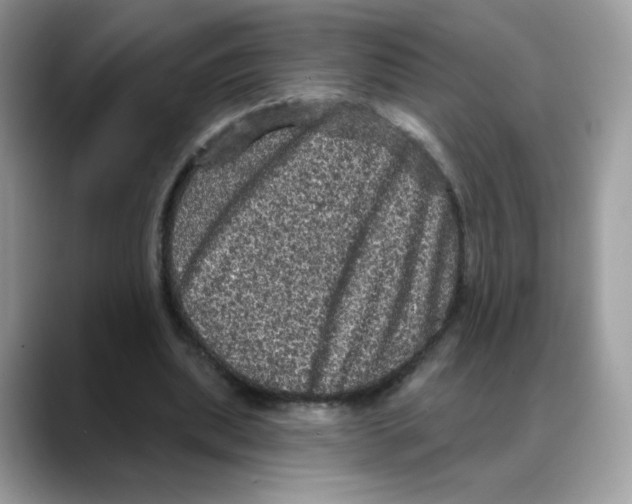 X0000088140439200706111428