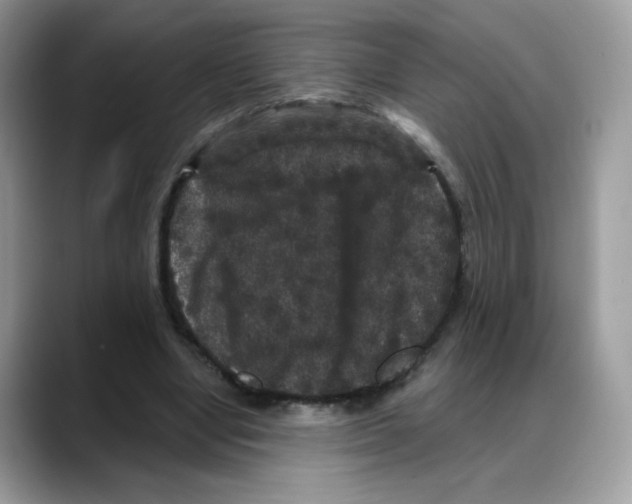 X0000088140442200706111428