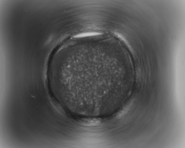 X0000088140443200706111428