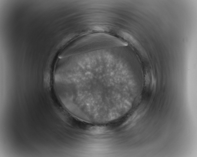 X0000088140444200706111428