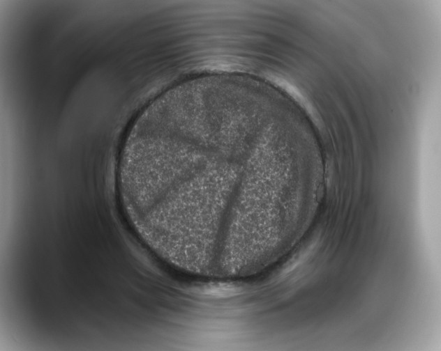 X0000088140445200706111428