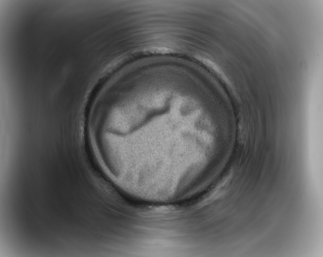 X0000088140446200706111428