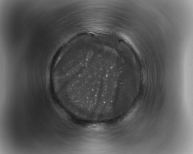 X0000088140447200706111428