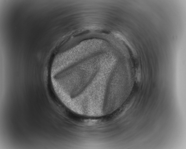 X0000088140448200706111428