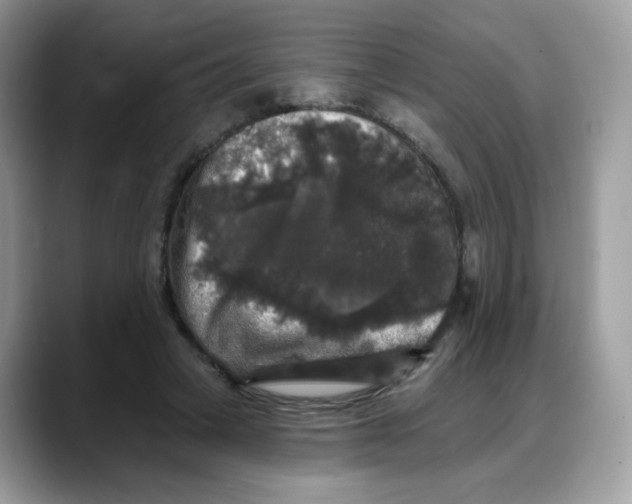 X0000088140449200706111428