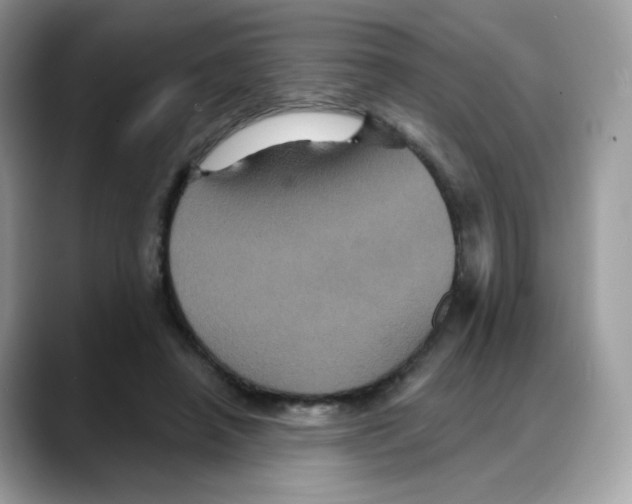 X0000088140450200706111428