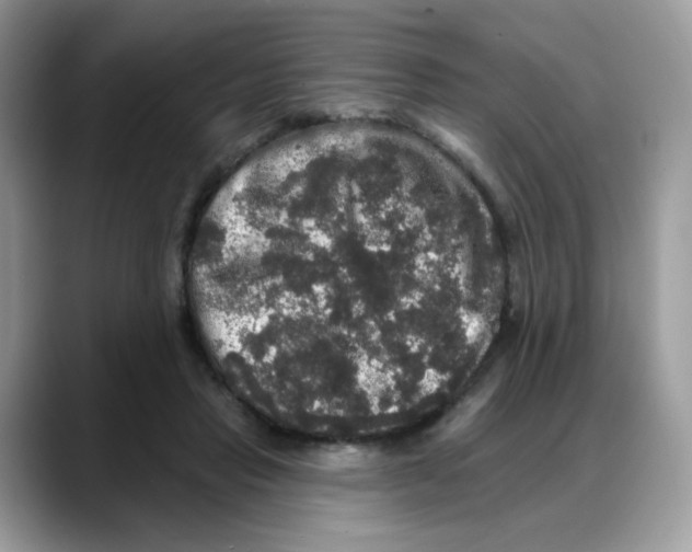 X0000088140453200706111428