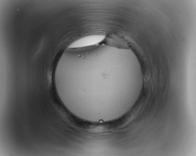 X0000088140454200706111428