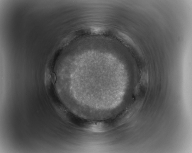 X0000088140456200706111428