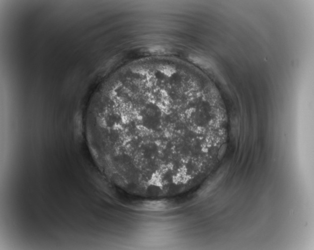 X0000088140457200706111428