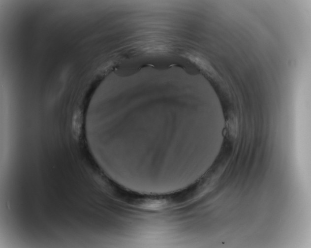 X0000088140458200706111428