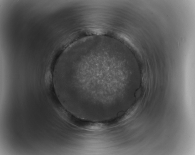 X0000088140459200706111428