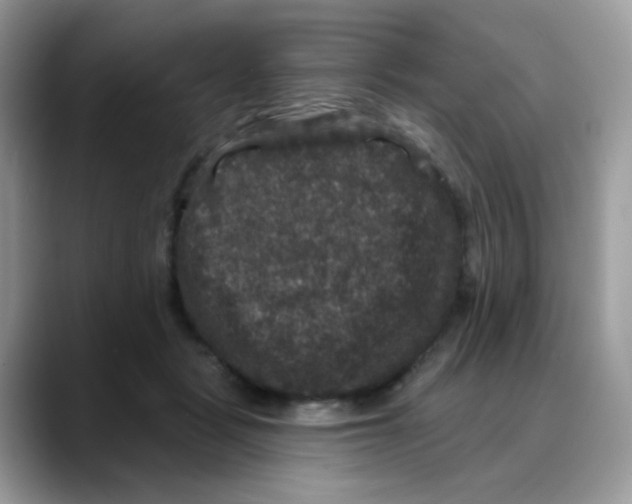 X0000088140461200706111428