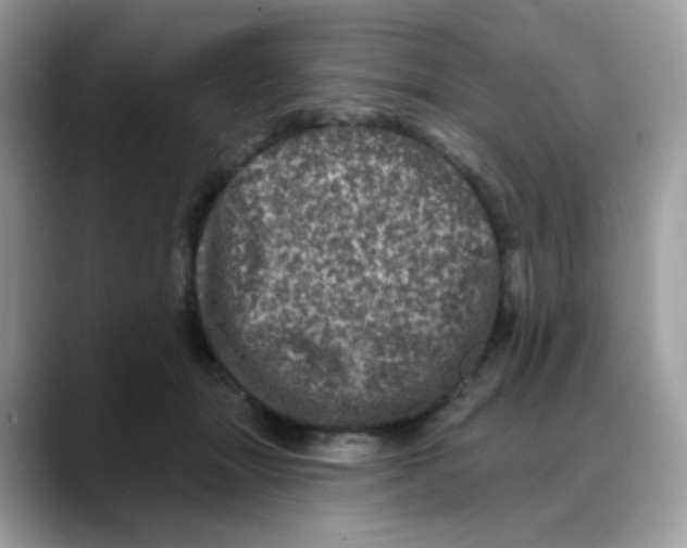 X0000088140463200706111428