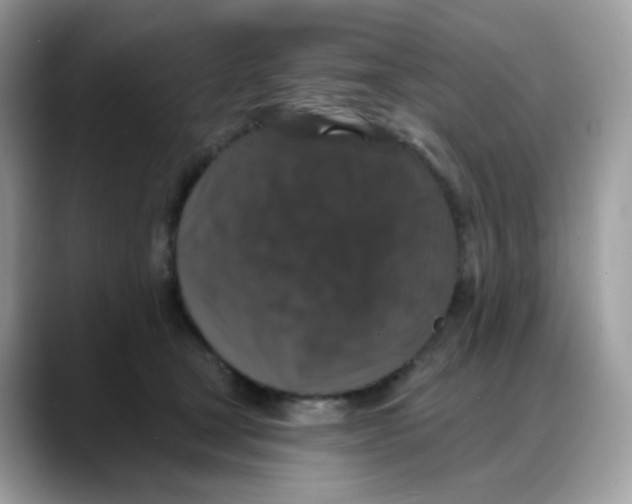 X0000088140465200706111428