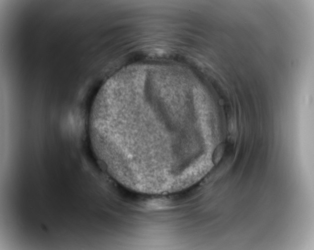 X0000088140468200706111428