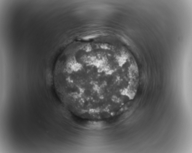 X0000088140469200706111428