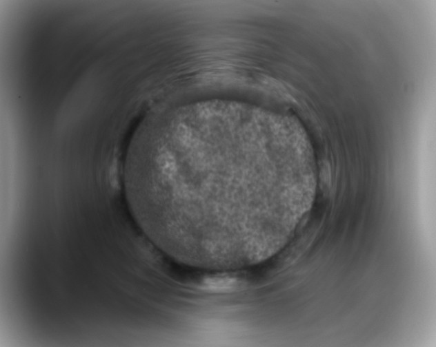 X0000088140470200706111428