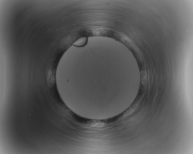 X0000088140471200706111428